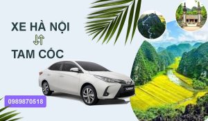 Xe Hà Nội đi Tam Cốc Ninh Bình giá rẻ